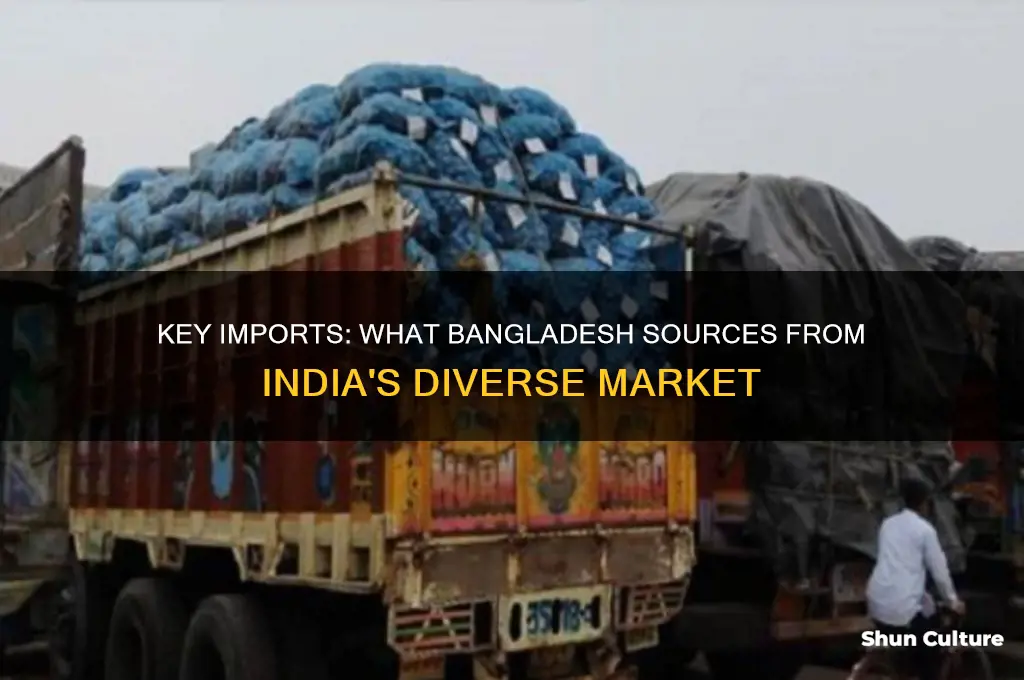 what bangladesh imports from india