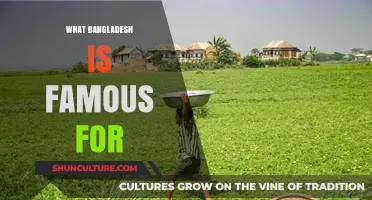 Discover Bangladesh's Rich Culture, Natural Beauty, and Vibrant Traditions