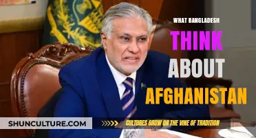 Bangladesh's Perspective on Afghanistan: Insights, Relations, and Future Outlook