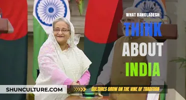Bangladesh's Perspective: Understanding India Through Shared History and Complex Relations