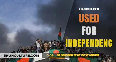 Bangladesh's Path to Independence: Key Strategies and Historic Milestones