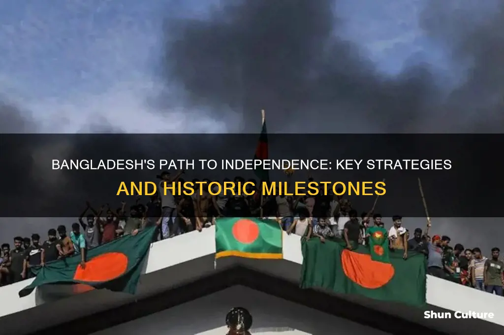 what bangladesh used for independence