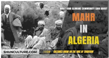 Bani Slimane Community's Insights on Mahr Traditions in Algeria