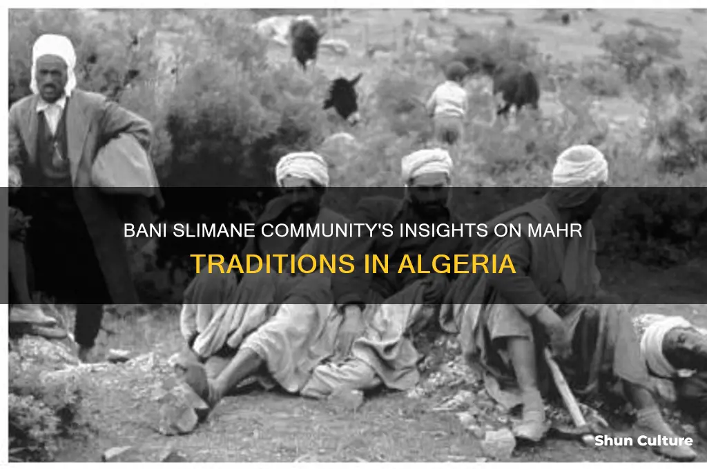 what bani slimane community said about mahr in algeria