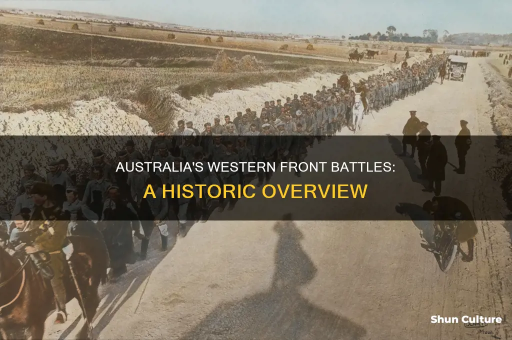 what battles was australia involved in on the western front