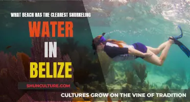 Belize's Pristine Snorkeling Paradise: Discovering the Clearest Waters at Glover's Reef