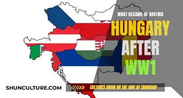 Austria-Hungary's Post-WW1 Transformation: A Complex Legacy