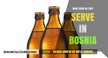 Exploring Bosnia's Beer Scene: Local Brews and Popular Pints