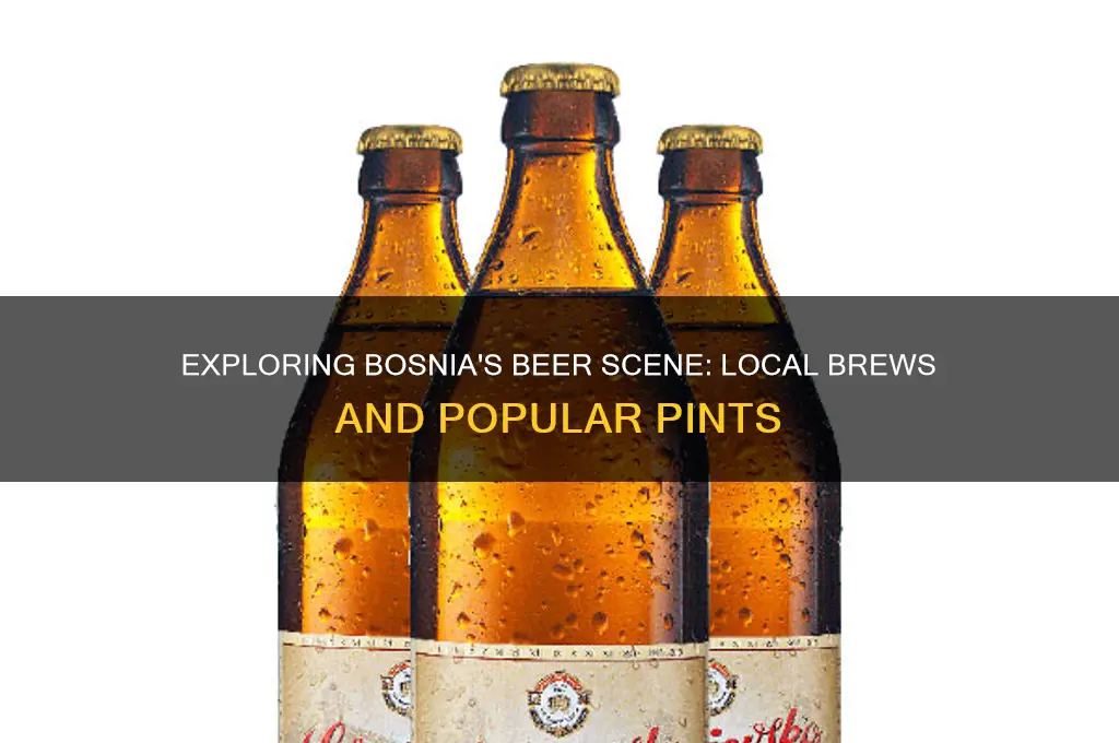 what beer do they serve in bosnia