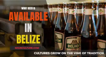 Belize's Beer Scene: A Tropical Adventure