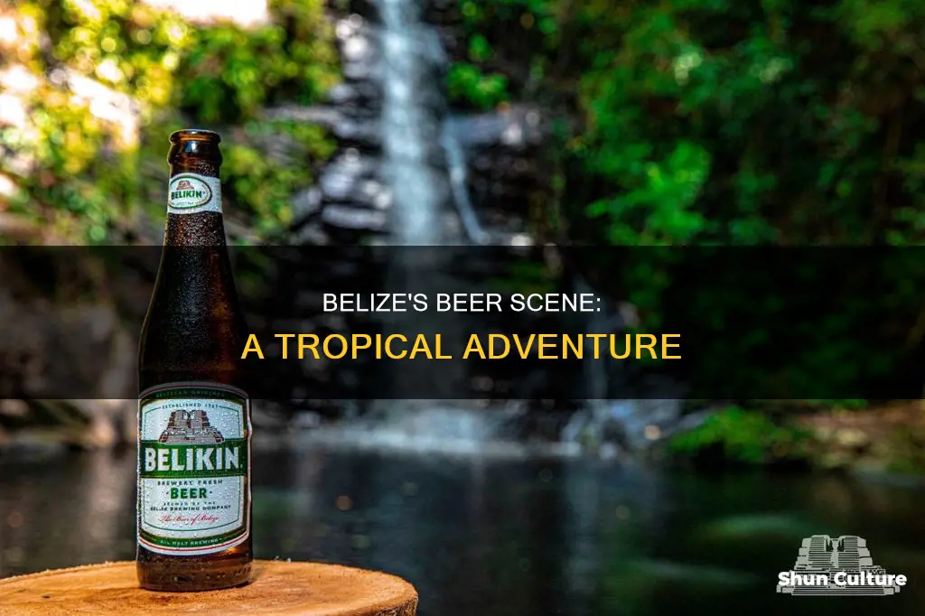 what beer is available in belize