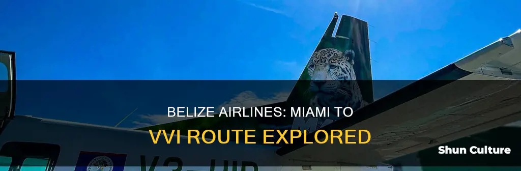 what belize airline miami to vvi