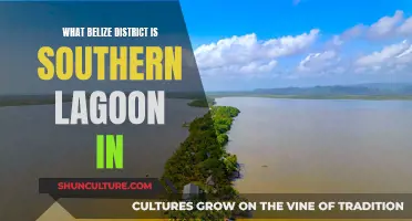 Southern Lagoon's District: Discovering Belize's Aquatic Paradise