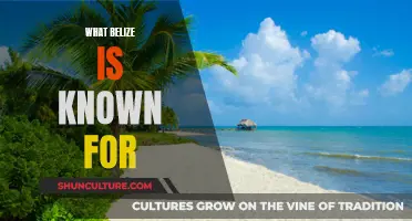 Belize's Alluring Offerings: A Country of Cultural and Natural Treasures