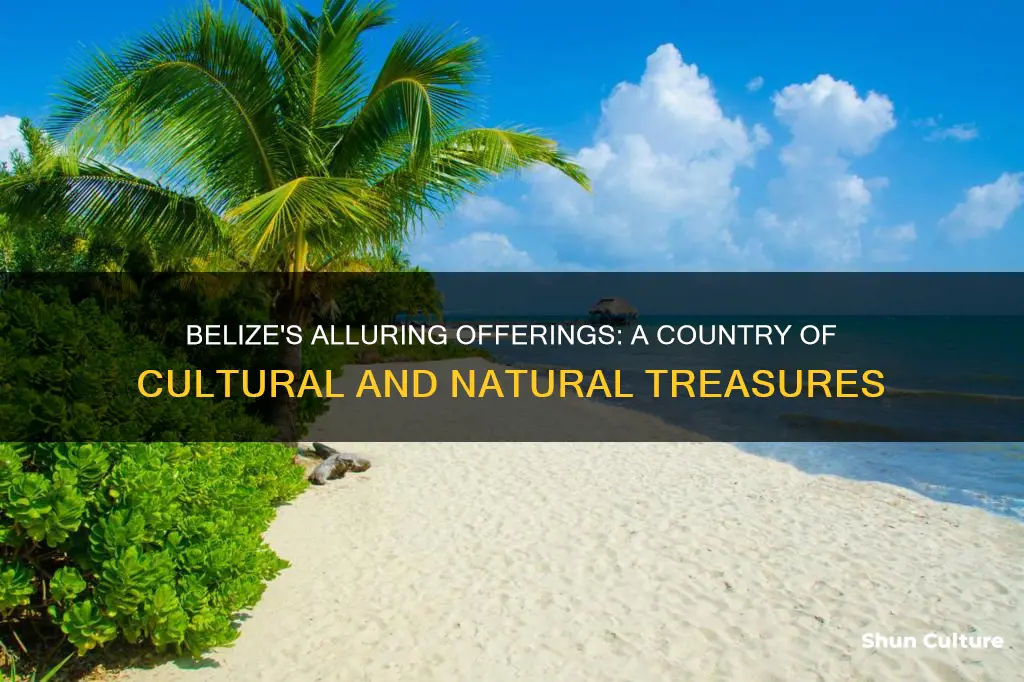 what belize is known for