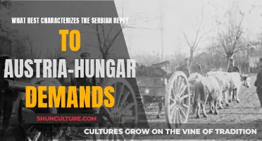 Serbia's Response to Austria-Hungary: Defiant and Determined