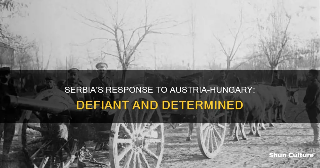 what best characterizes the serbian reply to austria-hungary