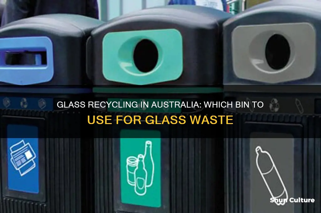 what bin does glass go in australia