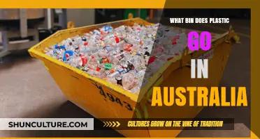 Where to Recycle Plastic in Australia: A Bin Guide