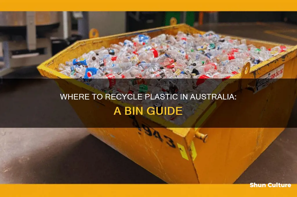 what bin does plastic go in australia