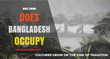 Exploring Bangladesh's Unique Biome: A Tropical Monsoon Climate Haven