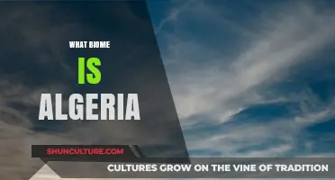 Exploring Algeria's Diverse Biomes: From Deserts to Mediterranean Coasts