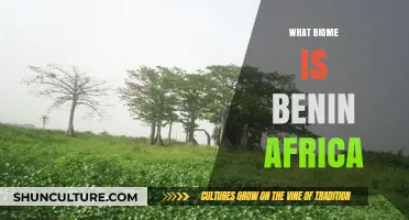 Exploring Benin: Unveiling the Rich Biomes of West Africa