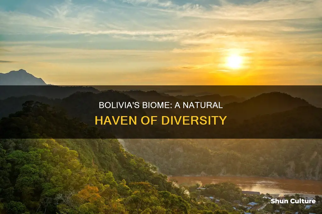 what biome is bolivia