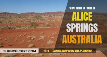 Exploring the Unique Biome of Alice Springs, Australia