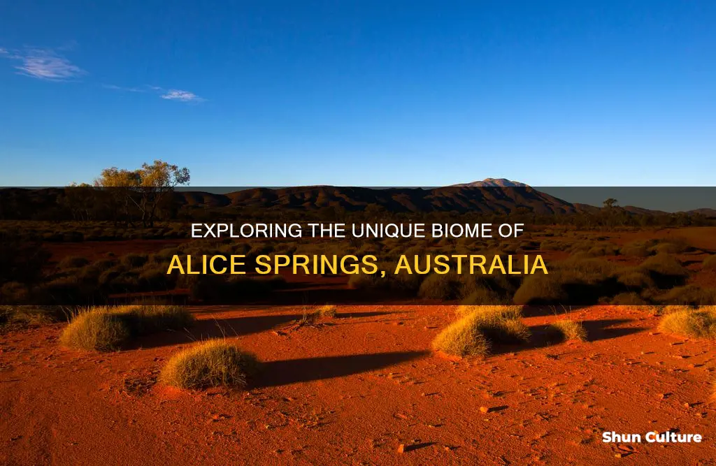 what biome is found in alice springs australia