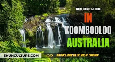 Exploring Koombooloomba, Australia: A Unique Tropical Rainforest Biome