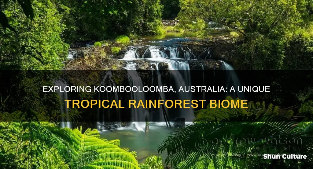 what biome is found in koombooloomba australia
