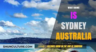 Exploring Sydney's Biome: A Unique Australian Coastal Environment