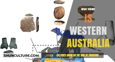 Western Australia's Unique Biodiversity: A Distinctive Biome