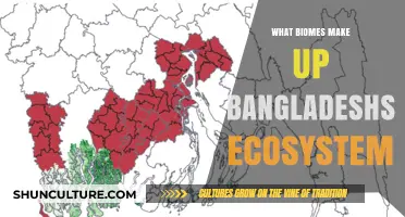 Exploring Bangladesh's Diverse Biomes: A Comprehensive Ecosystem Overview
