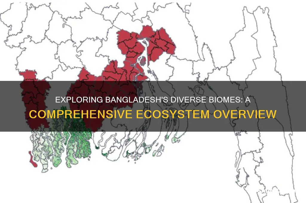 what biomes make up bangladeshs ecosystem