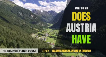 Austria's Diverse Biomes: Exploring the Country's Natural Landscapes