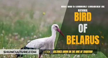 Belarus' National Bird: The Symbol of a Nation