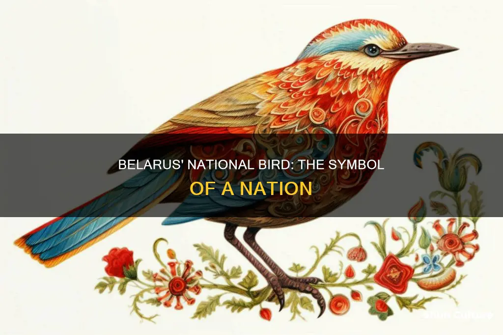 what bird is commonly considered the national bird of belarus