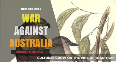 How a Bird Species Went to War with Australia