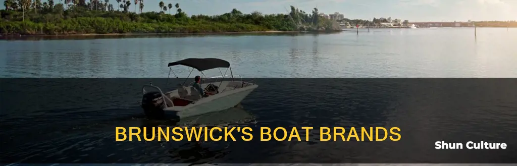 what boat brands does brunswick own