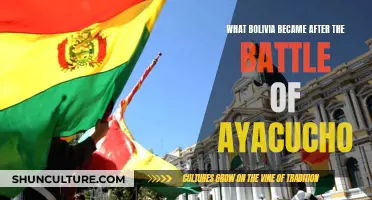 The Birth of a New Bolivia: Post-Ayacucho