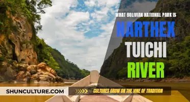 Exploring Bolivia's Madidi National Park and Tuichi River