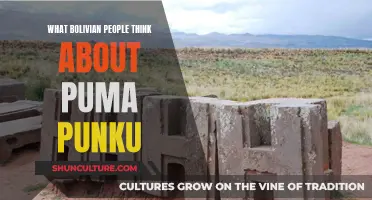 Puma Punku: Bolivian Perspectives on Ancient Mysteries