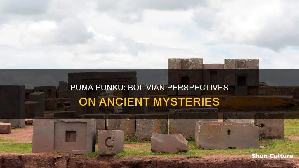 what bolivian people think about puma punku