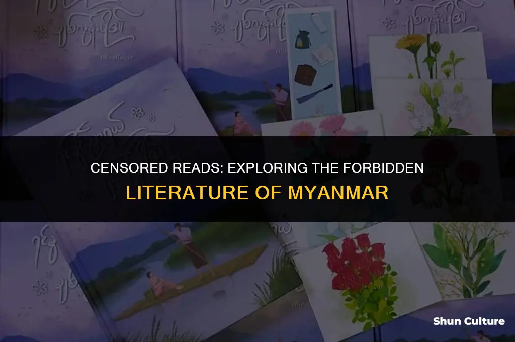 what books are banned in burma