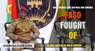 Dispute Over Border Lines: Mali and Burkina Faso's Territorial Clash