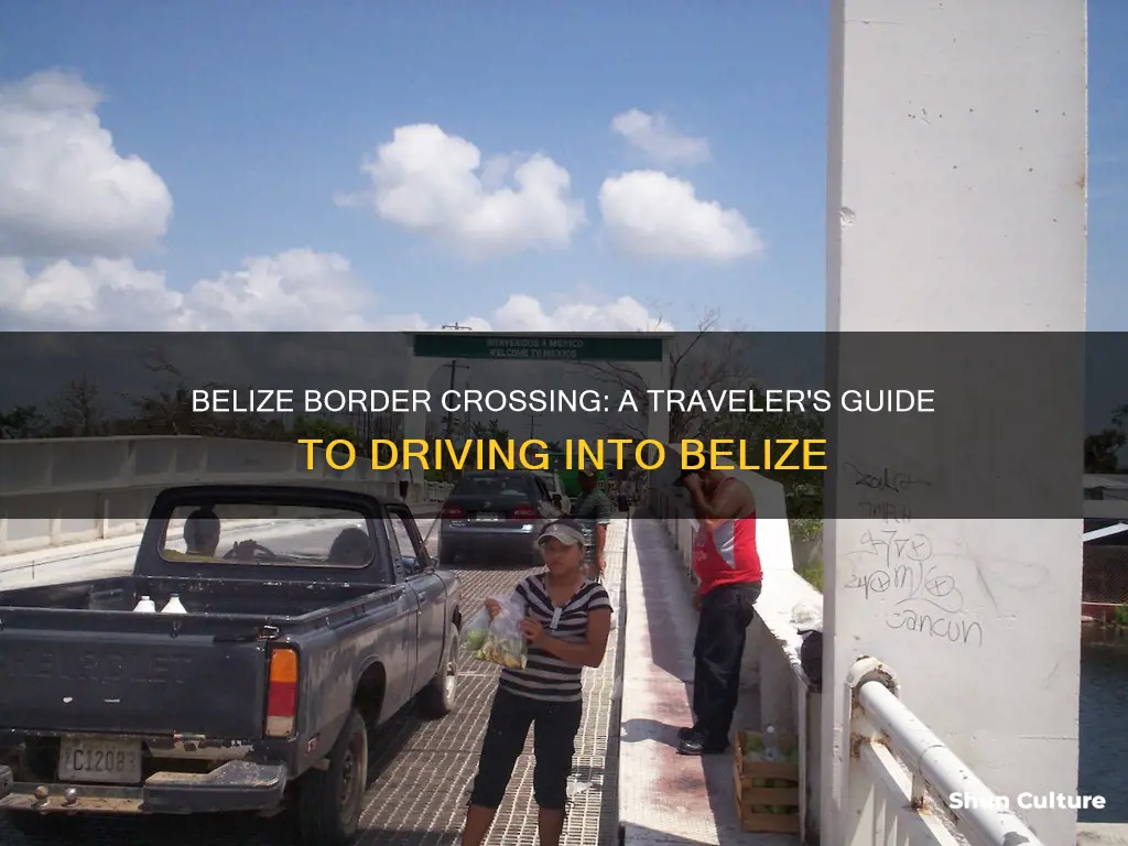 what border to cross when you drive to belize