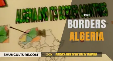 Exploring Algeria's Neighbors: Countries and Borders Surrounding the Nation