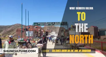 Bolivia's Northern Border: Where Does It Meet?